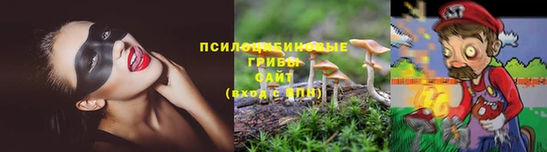 прущие крисы Елизово