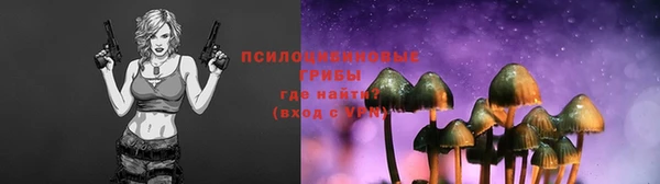 прущие крисы Елизово