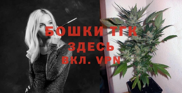 гидропоника Елабуга
