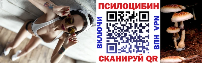 Псилоцибиновые грибы GOLDEN TEACHER  Купить  Коркино 